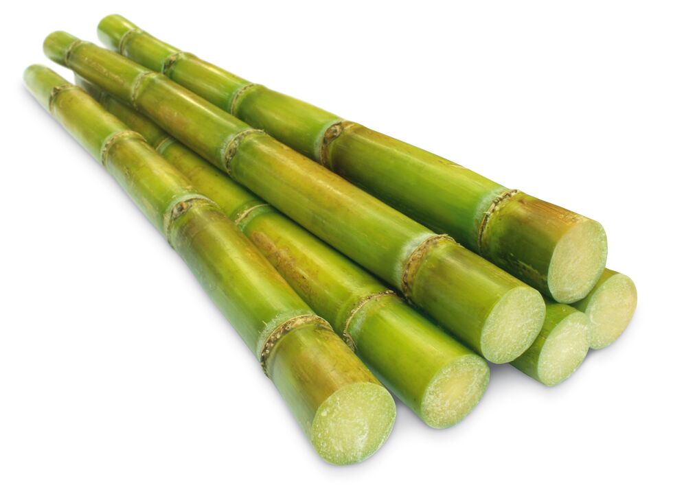 Enzymes for sugar cane